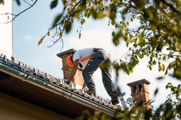 Best Roof Gutter Cleaning  in Hettinger, ND